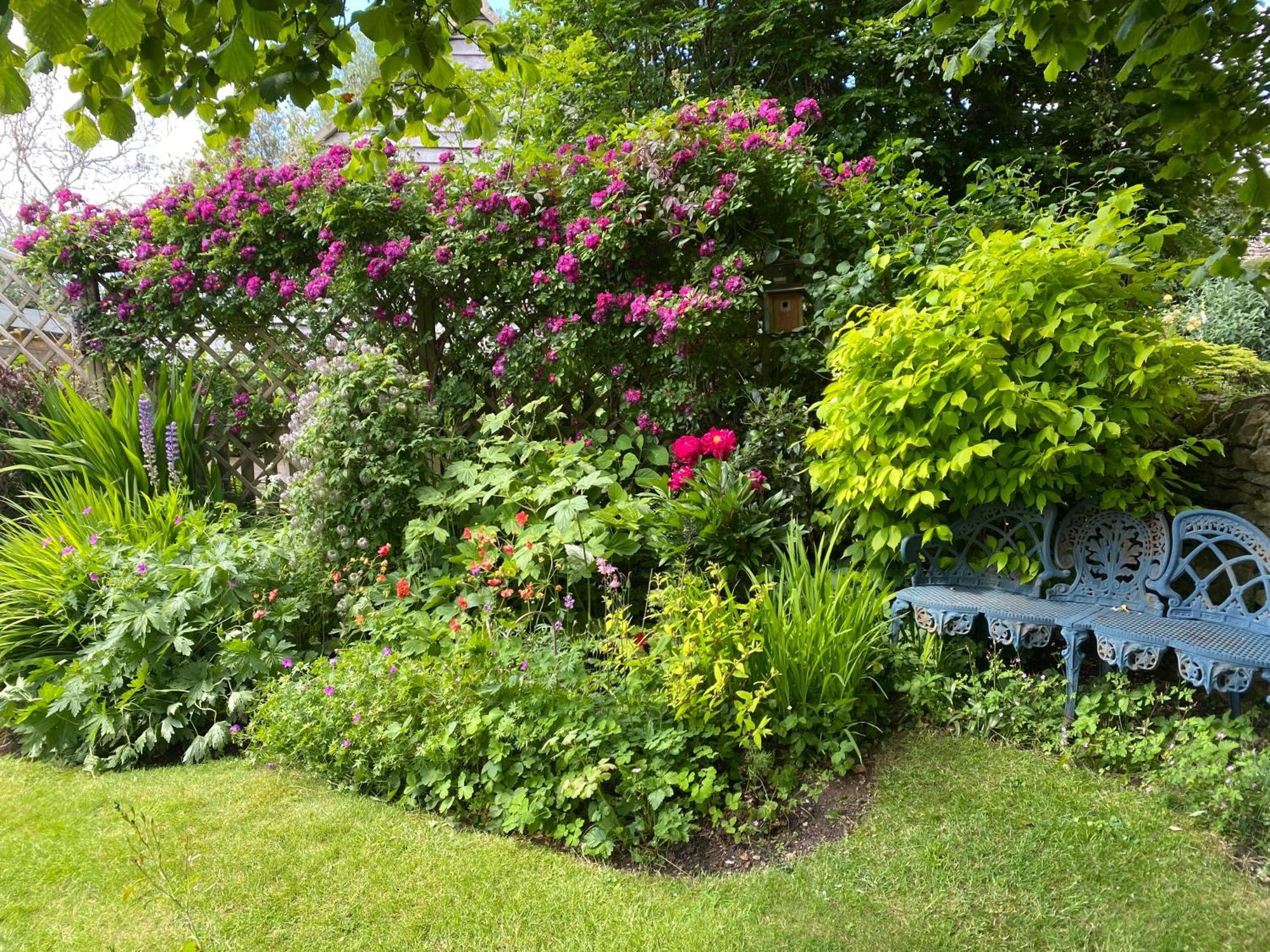 Charming Cottage, Great Rissington, Cotswolds Екстер'єр фото